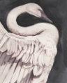 Picture of SWAN DANCE I