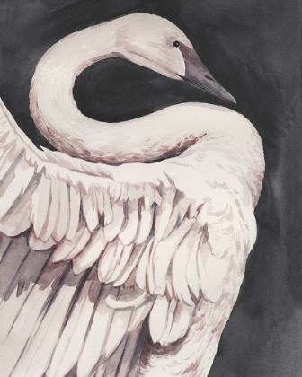 Picture of SWAN DANCE I