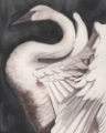 Picture of SWAN DANCE II