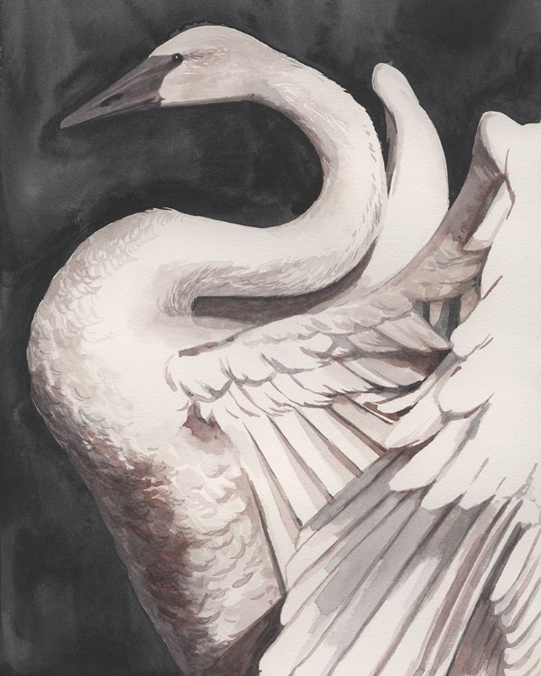 Picture of SWAN DANCE II