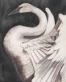 Picture of SWAN DANCE II