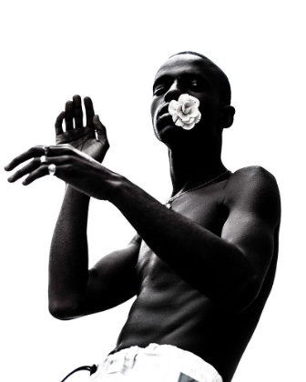 Picture of BLOOMIN II