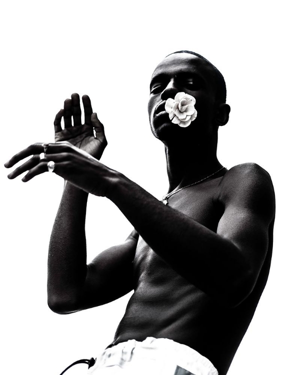 Picture of BLOOMIN II