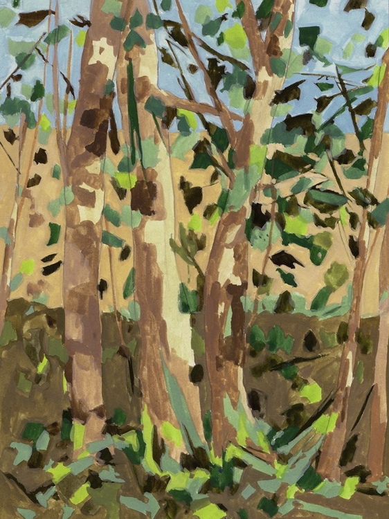 Picture of VIBRANT BIRCHES I