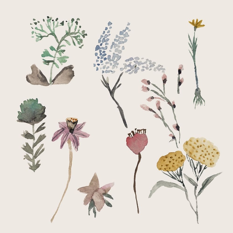 Picture of MEADOW STUDY I