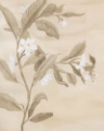 Picture of SEPIA ORANGE BLOSSOM SKETCH I