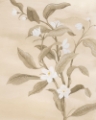 Picture of SEPIA ORANGE BLOSSOM SKETCH II