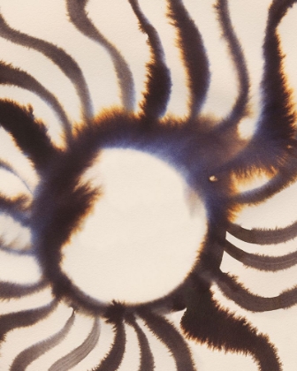 Picture of INKY RAYS I