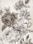 Picture of POTPOURRI IMPRESSION I