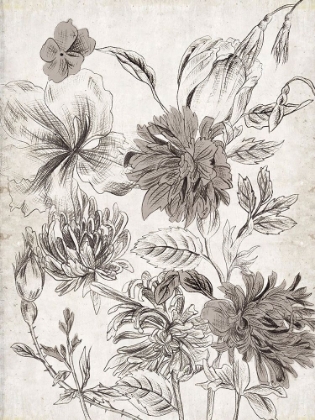 Picture of POTPOURRI IMPRESSION II