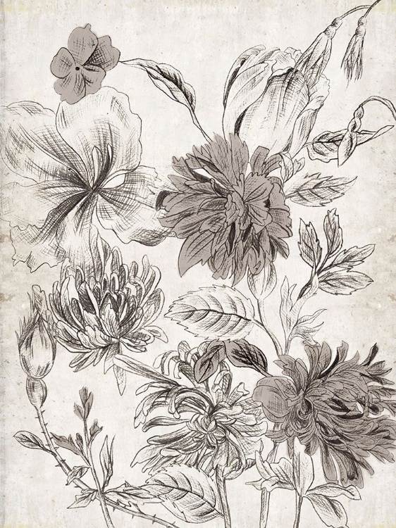 Picture of POTPOURRI IMPRESSION II