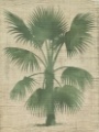 Picture of BURLAP PALM SILHOUETTE I