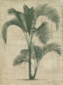 Picture of BURLAP PALM SILHOUETTE II