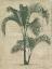 Picture of BURLAP PALM SILHOUETTE II