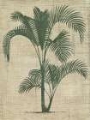 Picture of BURLAP PALM SILHOUETTE II