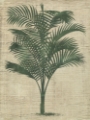 Picture of BURLAP PALM SILHOUETTE III