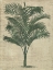 Picture of BURLAP PALM SILHOUETTE III