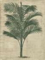 Picture of BURLAP PALM SILHOUETTE III