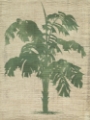 Picture of BURLAP PALM SILHOUETTE IV