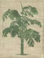 Picture of BURLAP PALM SILHOUETTE IV