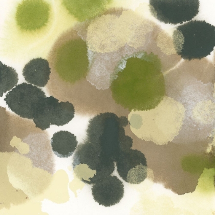 Picture of LICHEN AURA II