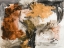 Picture of WARM NEUTRAL MEDLEY II
