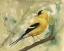 Picture of BACKYARD BIRDS I