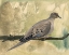 Picture of BACKYARD BIRDS II