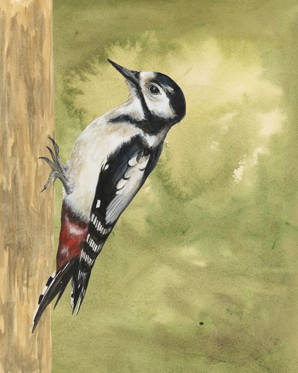 Picture of BACKYARD BIRDS III