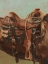 Picture of SADDLE UP I