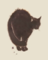 Picture of BLACK CAT DREAM I