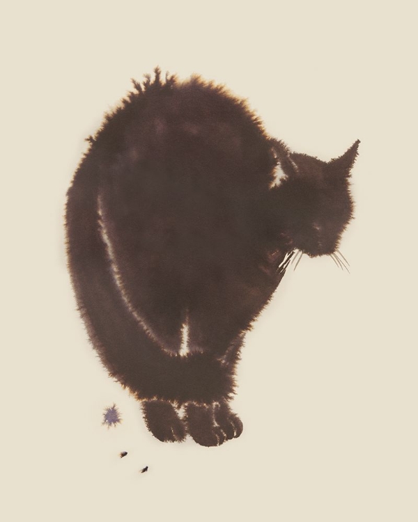 Picture of BLACK CAT DREAM I