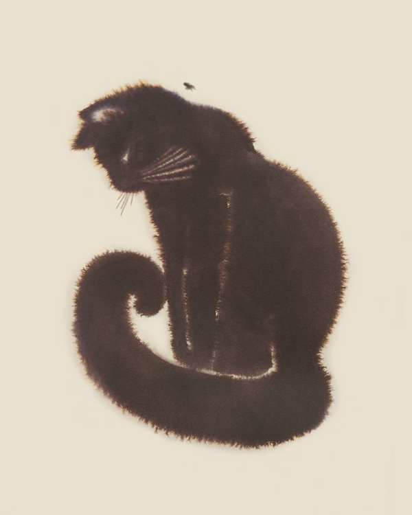 Picture of BLACK CAT DREAM II