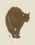 Picture of BLACK CAT DREAM III