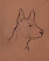 Picture of CANINE PORTRAITS I