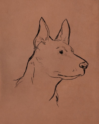 Picture of CANINE PORTRAITS I
