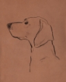 Picture of CANINE PORTRAITS II