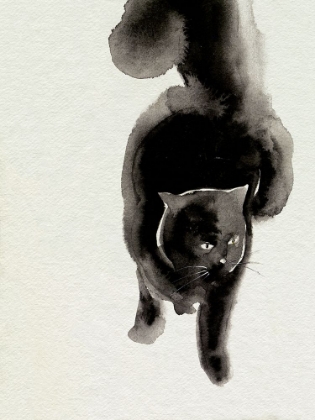 Picture of CATWALK I