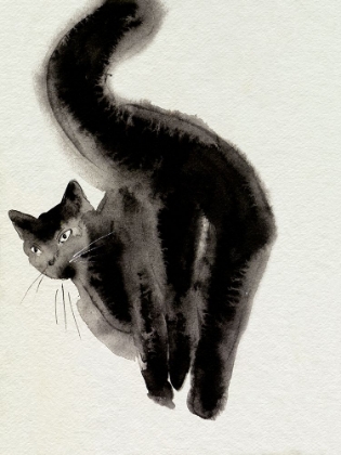 Picture of CATWALK II