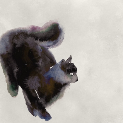 Picture of CAT STUDY I