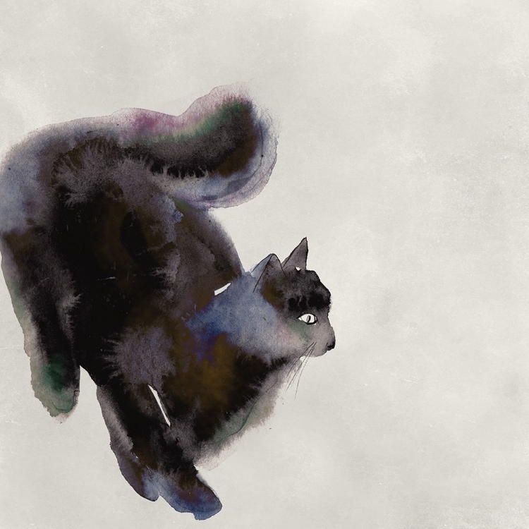 Picture of CAT STUDY I