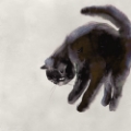 Picture of CAT STUDY II