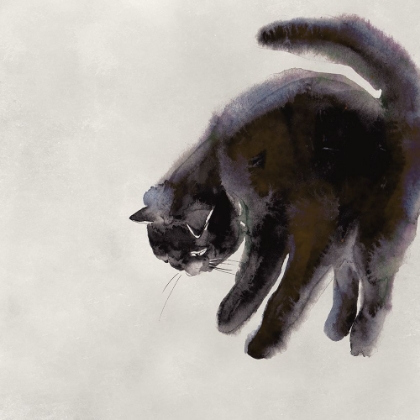 Picture of CAT STUDY II