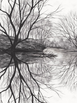 Picture of RIVER RUMINATION I