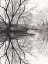 Picture of RIVER RUMINATION I