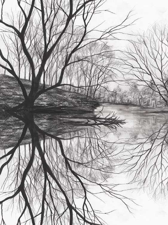 Picture of RIVER RUMINATION I