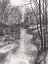 Picture of RIVER RUMINATION II