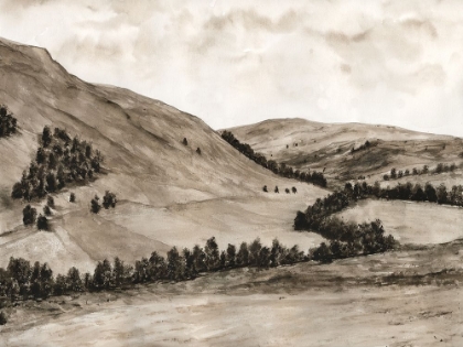 Picture of SEPIA-TONED HILLS I