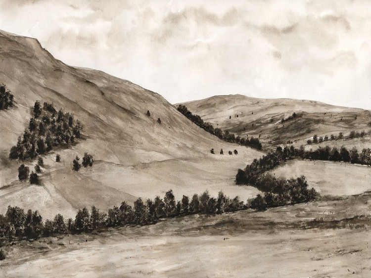Picture of SEPIA-TONED HILLS I