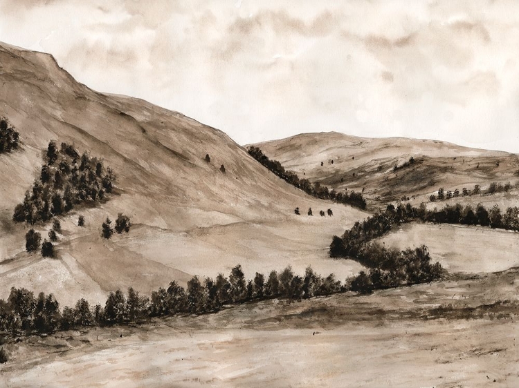 Picture of SEPIA-TONED HILLS I